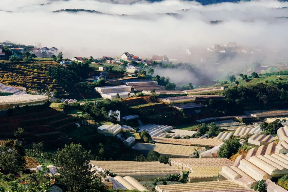 Vườn rau của Trương Văn Lành